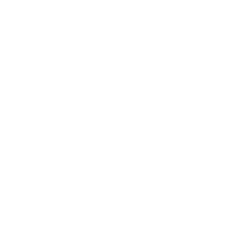 Numi Coaching